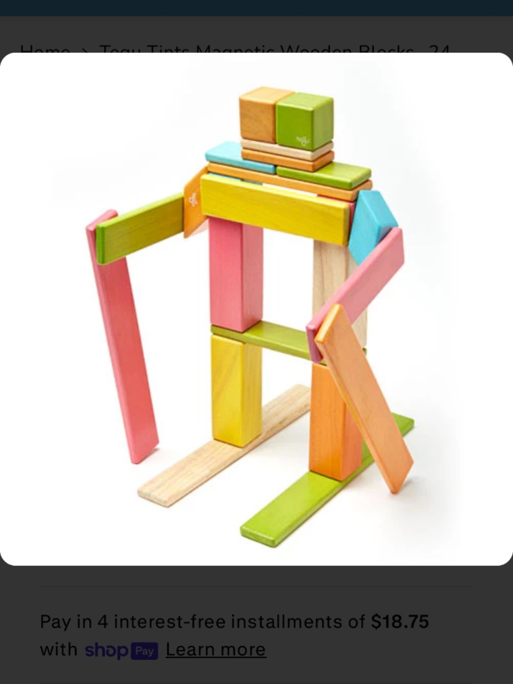 Tegu "Magnetic Wooden Blocks 24-piece set" NWT - Picture 9 of 14